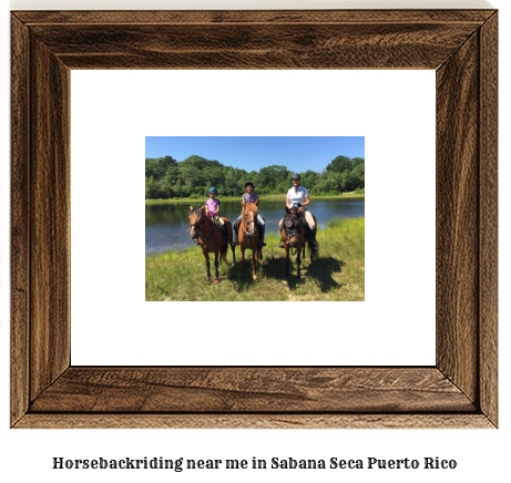 horseback riding near me in Sabana Seca, Puerto Rico